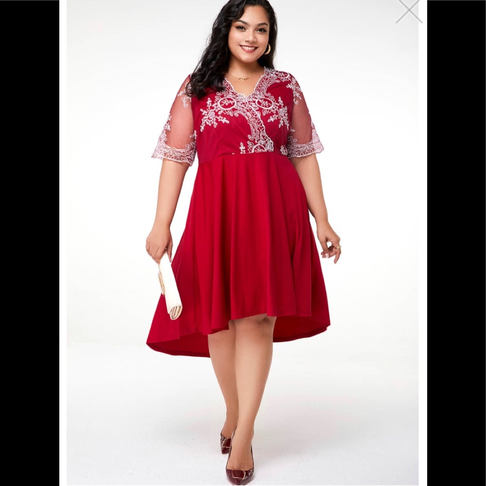 Plus Size Asymmetric Hem Mesh Embroidered